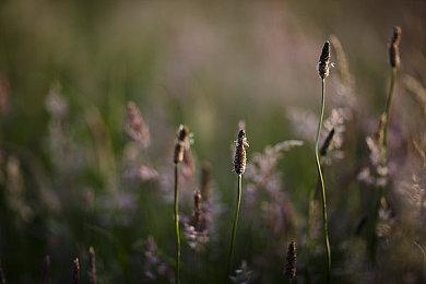 《遗迹：灰烬重生》宣布登陆NS 支持实体和数字版